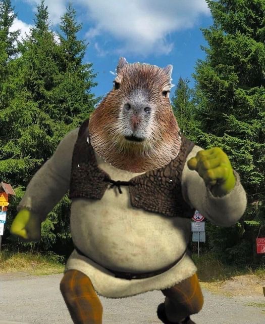 Create meme: shrek 2 game cover, a pet capybara, Shrek 