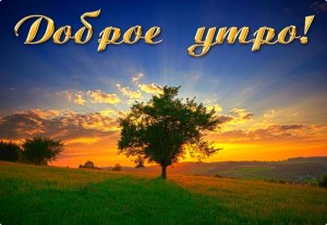 Создать мем: а.токомбаев летний рассвет читать онлайн, цветы рассвет, небо утром