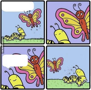Create meme: funny comics, butterfly