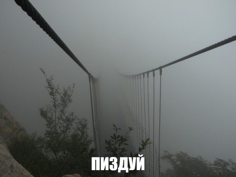 Create meme: a bridge to nowhere, ai petri suspension bridge, bridge 