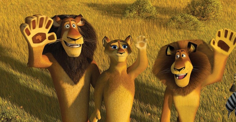 Create meme: the lion from the cartoon madagascar, Madagascar 2 cartoon 2008 Alex, Madagascar 2005 cartoon