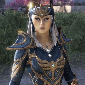 Create meme: ayrenn robot, high elf the elder scrolls, elder scrolls online elf