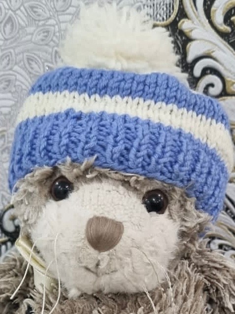 Create meme: winter teddy bear hat, toy , Teddy