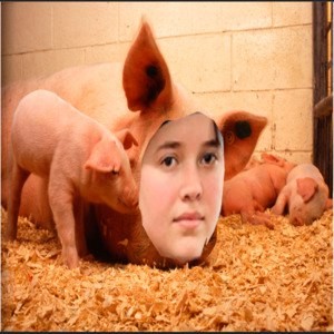 Create meme: pig , the contents, the consequences