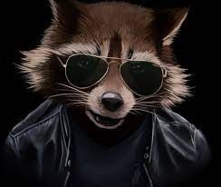 Create meme: people, marital status, cool raccoon