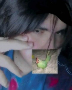 Create meme: people, parrots lovebird, parrot