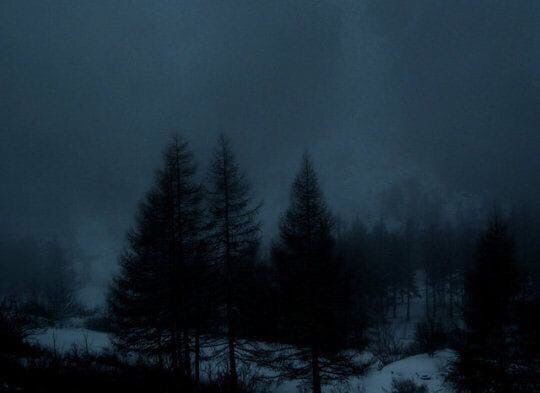 Create meme: dark forest, forest , dark photos