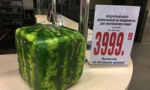 Создать мем: картинки квадратные арбузы, фото квадратных арбузов, square watermelon