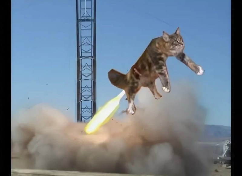 Create meme: The farting cat, cat in flight, The farting cat