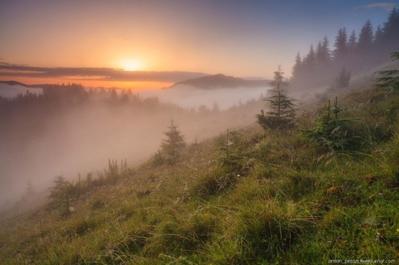 Create meme: landscape fog, morning in the Carpathians, A foggy morning in the mountains