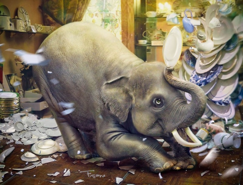 Create meme: painting elephant in a china shop, the elephant in the china shop, elephant elephant