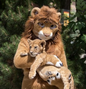 Create meme: cubs, lioness, lion