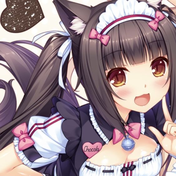 Create meme: nekopara, anime nekopara, nekopara chocola