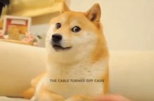 Create meme: doge meme original, doge meme, Shiba inu dogs