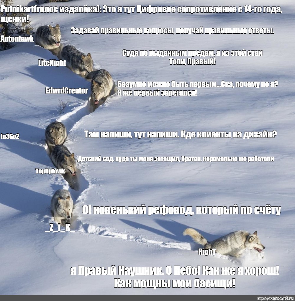 Порядок волка. Мем про стаю Волков в снегу. Волки идут по снегу. Стая Волков на снегу. Я шерстяной Волчара Мем.