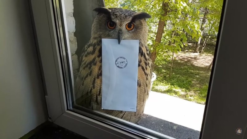 Create meme: The Hogwarts Owl, owl with a letter, owl owl