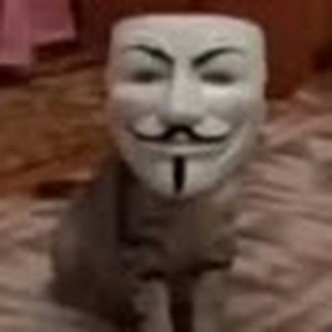 Создать мем: человек, кот с маской, анонимус