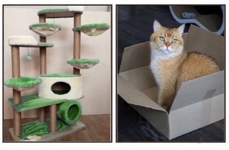 Create meme: scratching post house for cats, scratching post complex for cats, scratching post for maine coon