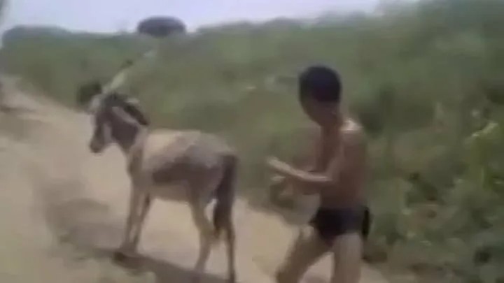 Create meme: A fighting donkey, The guy on the donkey, a man on a donkey