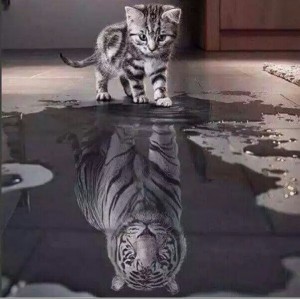 Create meme: tiger, the cat with the shadow of the tiger, cat