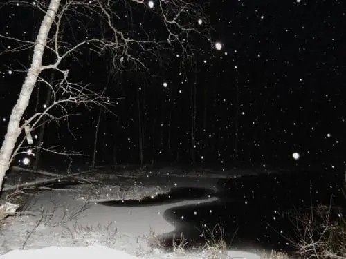 Create meme: It's snowing, snow at night, winter forest at night