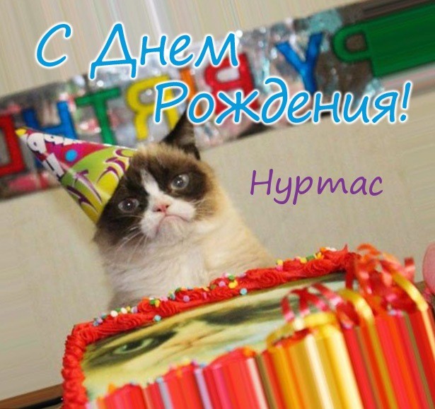 Create meme: happy birthday meme cat, sad cat birthday , unhappy cat birthday