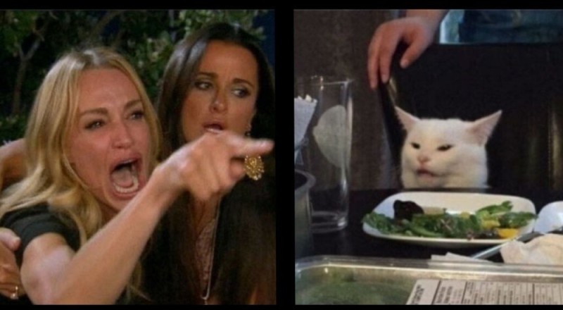 Создать мем: женщина кошка мем, мем с котом за столом и девушками, мем женщина орет на кота