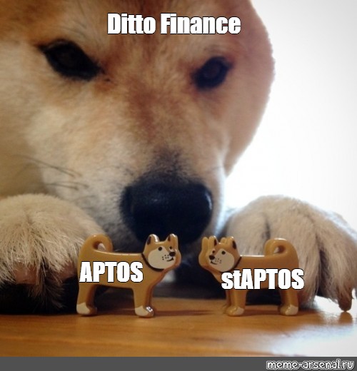 Meme Ditto Finance Aptos Staptos All Templates Meme Arsenal Com