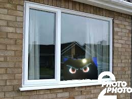 Создать мем: пластиковые окна двери, окна бу, окна из пвх