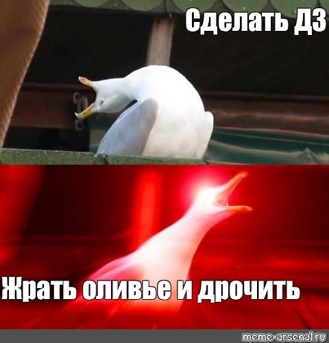 Создать мем: null