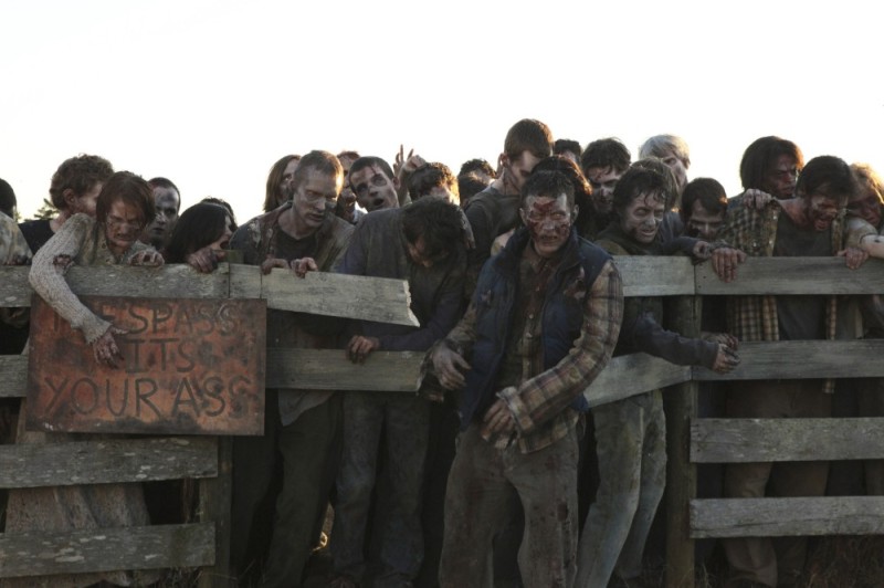 Create meme: the walking dead, The walking dead are a horde of zombies, the walking dead zombie