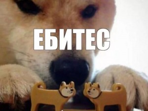 Создать мем: ебитес, пес ебитес, акита ебитес