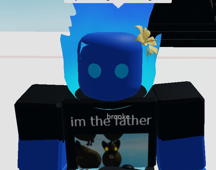 Create meme: fury roblox, the get, furry roblox skin