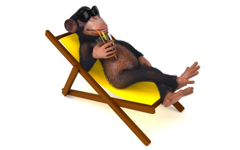 Create meme: The monkey is on vacation, monkey on vacation, happy monkey