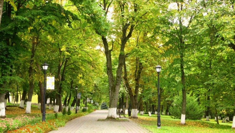 Создать мем: майский парк, екатерининский сквер москва, городской парк