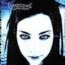 Create meme: Amy Lee Evanescence, Evanescence fallen cover, evanescence fallen