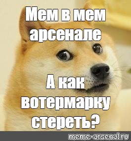 Новогодняя собака мем. Новогодний пёс Мем. Задумчивый пес Мем. Собака Мем мемеарсенал. Мемы мемы квадратные.