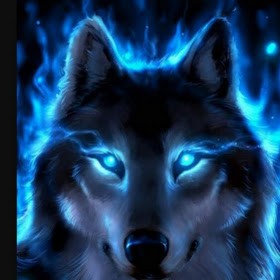 Создать мем: неоновый волк обои, синий волк, неон волк