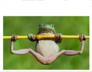 Create meme: interesting entry, meme frog, meme