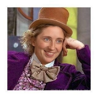 Create meme: Willy Wonka tell me more, girl , come on tell me 