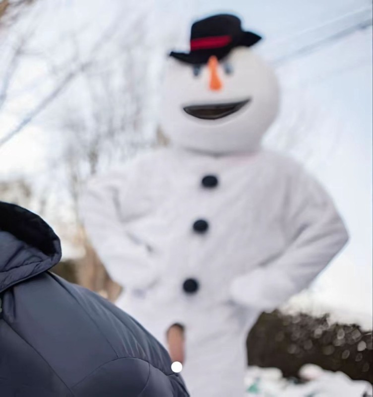 Create meme: snowman costume, creative snowman, snowmen are real