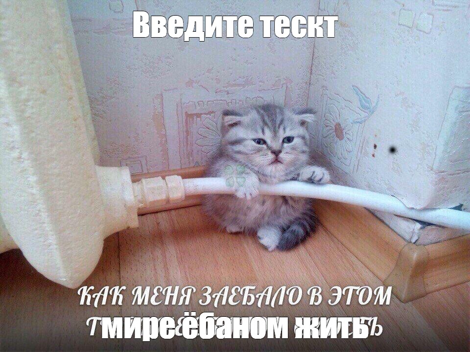 Создать мем: null