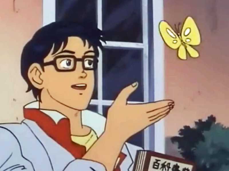 Create meme: this butterfly meme template, the guy with the butterfly meme, meme with butterfly anime