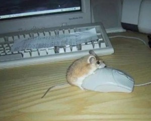 Create meme: fail, mouse, mouse