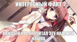 Create meme: anime anime, anime neko