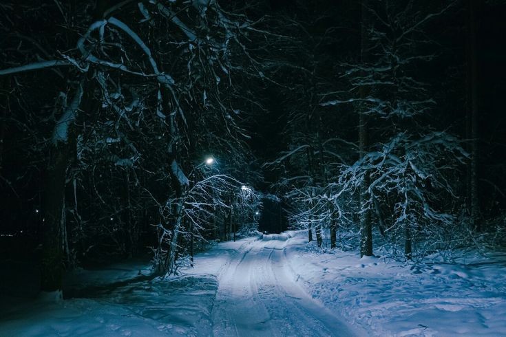 Create meme: winter night landscape, winter night, night winter road