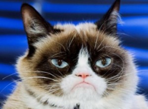 Создать мем: недовольный кот grumpy cat, грампи кэт улыбается, грампи кэт