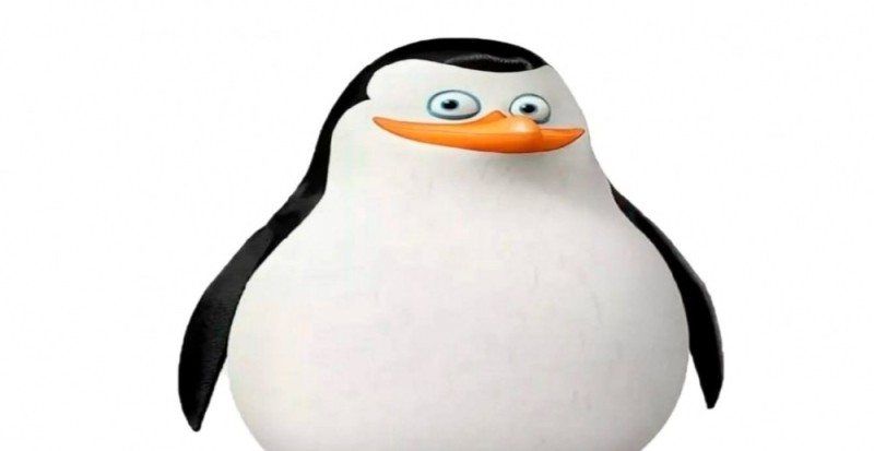 Create meme: the penguins of Madagascar private, penguin , penguin from Madagascar