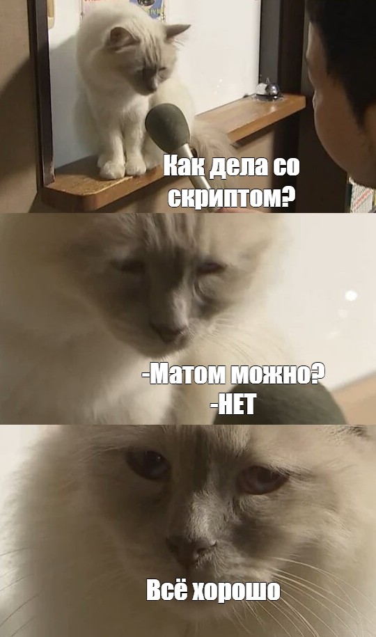 Матом можно