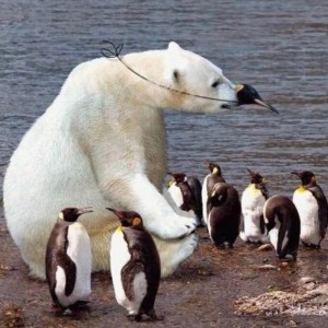 Create meme: polar bear art, penguin, polar bear